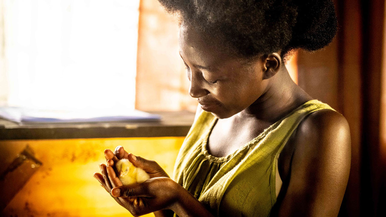Girl holding a baby chick