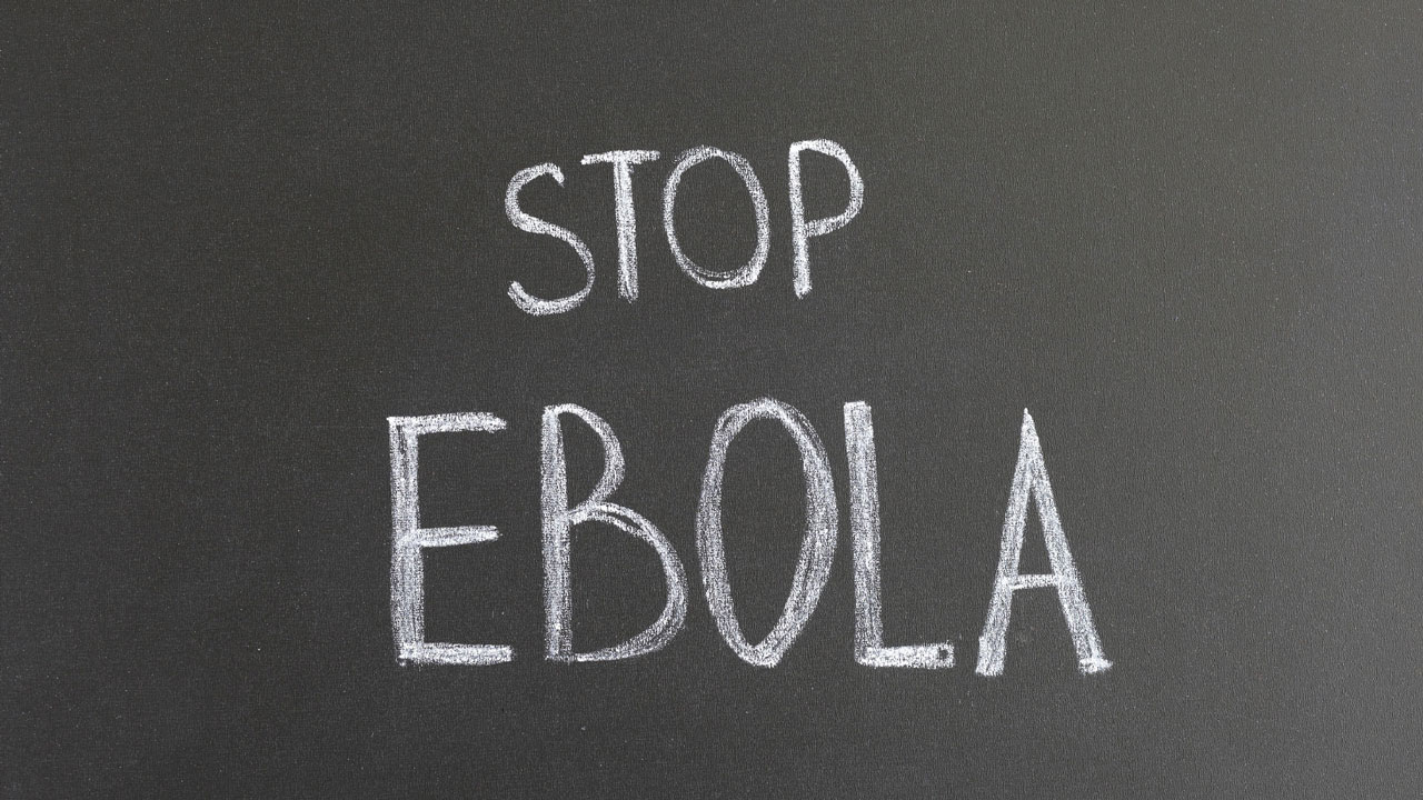 Stop Ebola written in chalk on blackboard
